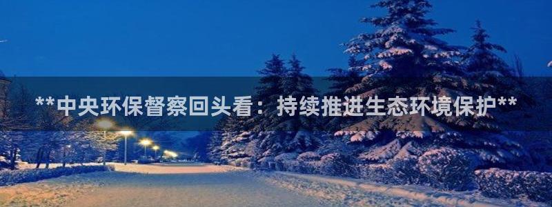 JDB平台是什么