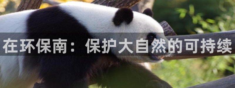 JDB游戏太假