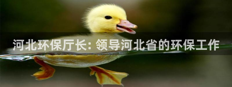 jdb电子中国