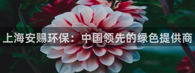 jdb电子游戏大奖视频