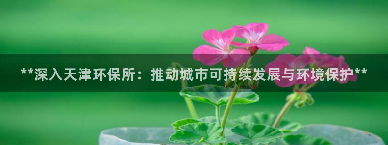 jDB电子黄金王牌