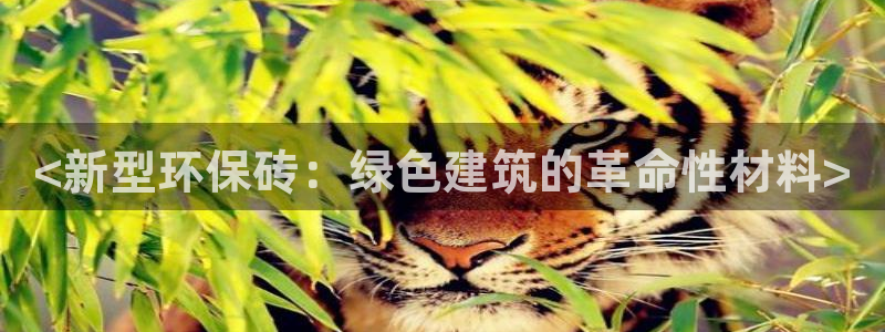 jdb游戏变脸