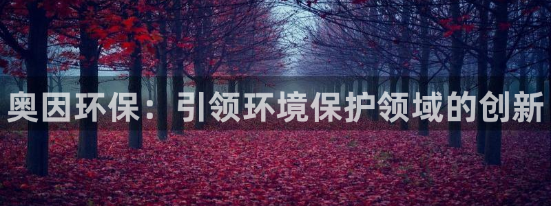 jdb电子飞鸟派对最火的一句