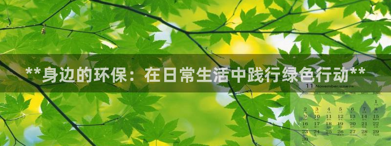 jdb电子试玩官网是什么
