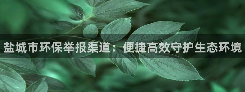 jdb电子飞鸟派对豪华版