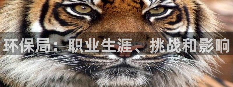 jdb电子金刚玩法
