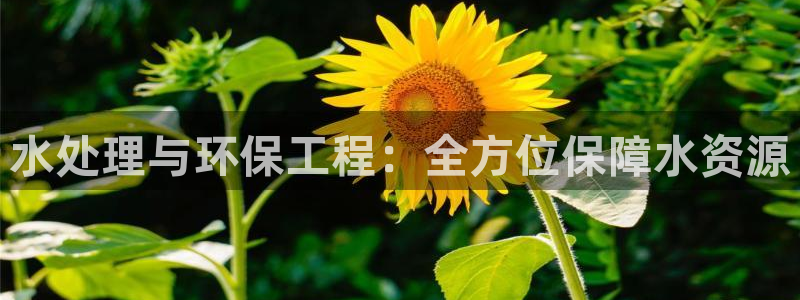 jdb电子游戏作解码